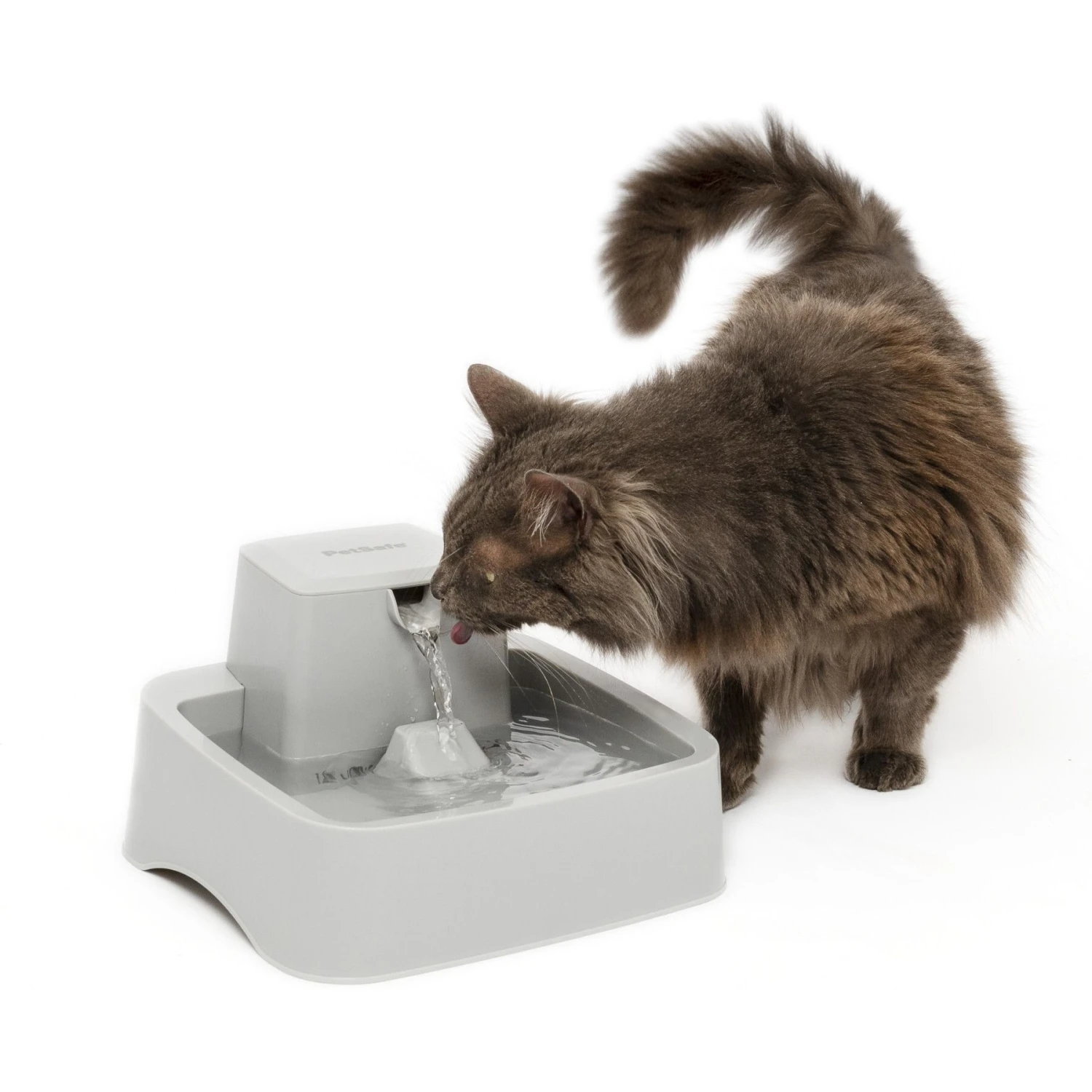PetSafe Drinkwell Dog & Cat Water Fountain 3 PetSafe Drinkwell Dog & Cat Water Fountain