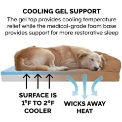 FurHaven Quilted Cooling Gel Bolster Cat & Dog Bed With Removable Cover -Blue Buffalo || ROYAL CANIN || Wellness Sales 172297 PT6. AC SS1800 V1619659619