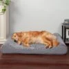 FurHaven Ultra Plush Luxe Lounger Orthopedic Cat & Dog Bed With Removable Cover 2 FurHaven Ultra Plush Luxe Lounger Orthopedic Cat & Dog Bed With Removable Cover -Blue Buffalo || ROYAL CANIN || Wellness Sales 172406 MAIN. AC SS1800 V1625252295