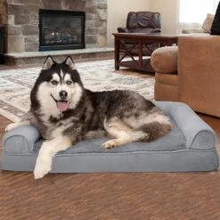 FurHaven Plush & Suede Memory Top Bolster Dog Bed With Removable Cover