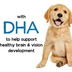 Purina Beneful Healthy Puppy With Farm Raised Chicken High Protein Dry Dog Food 16 Purina Beneful Healthy Puppy With Farm Raised Chicken High Protein Dry Dog Food -Blue Buffalo || ROYAL CANIN || Wellness Sales 173762 PT5. AC SS1800 V1695743618