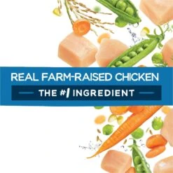 Purina Beneful Healthy Puppy With Farm Raised Chicken High Protein Dry Dog Food 17 Purina Beneful Healthy Puppy With Farm Raised Chicken High Protein Dry Dog Food -Blue Buffalo || ROYAL CANIN || Wellness Sales 173762 PT6. AC SS1800 V1695736852