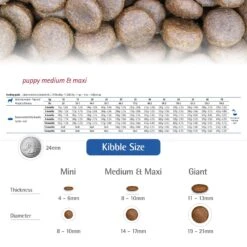 Farmina N&D Ancestral Grain Chicken & Pomegranate Medium & Maxi Puppy Dry Dog Food -Blue Buffalo || ROYAL CANIN || Wellness Sales 175528 PT5. AC SS1800 V1679329937