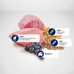 Farmina N&D Ancestral Grain Lamb & Blueberry Medium & Maxi Adult Dry Dog Food -Blue Buffalo || ROYAL CANIN || Wellness Sales 175530 PT4. AC SS1800 V1591127791