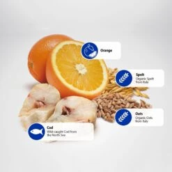 Farmina N&D Ocean Codfish & Orange Ancestral Grain Medium & Maxi Adult Dry Dog Food 12 Farmina N&D Ocean Codfish & Orange Ancestral Grain Medium & Maxi Adult Dry Dog Food -Blue Buffalo || ROYAL CANIN || Wellness Sales 175532 PT4. AC SS1800 V1591127820