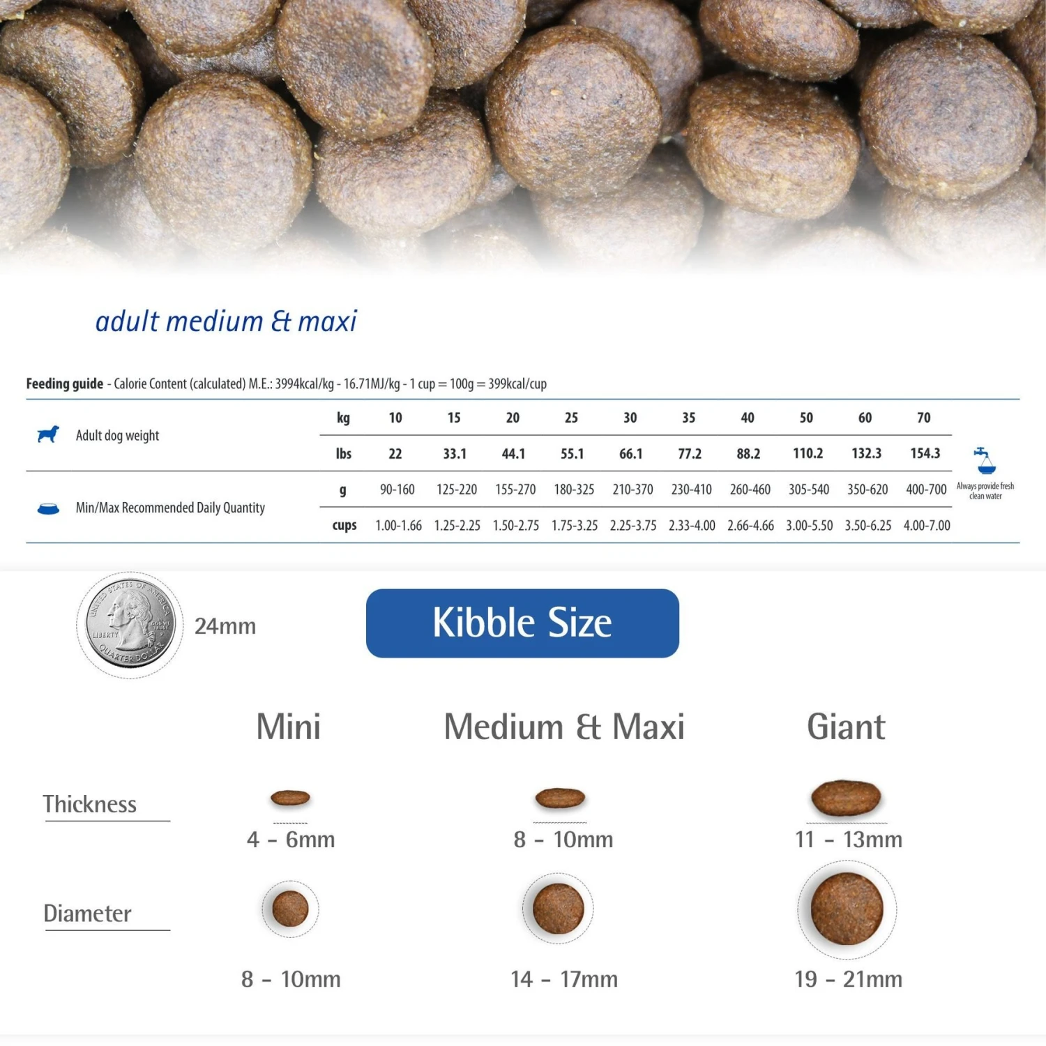 Farmina N&D Ocean Codfish & Orange Ancestral Grain Medium & Maxi Adult Dry Dog Food 8 Farmina N&D Ocean Codfish & Orange Ancestral Grain Medium & Maxi Adult Dry Dog Food - Image 6