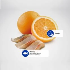 Farmina Natural & Delicious Wild Herring Grain-Free Mini Breed Formula Dry Dog Food 13 Farmina Natural & Delicious Wild Herring Grain-Free Mini Breed Formula Dry Dog Food -Blue Buffalo || ROYAL CANIN || Wellness Sales 175544 PT4. AC SS1800 V1591128114