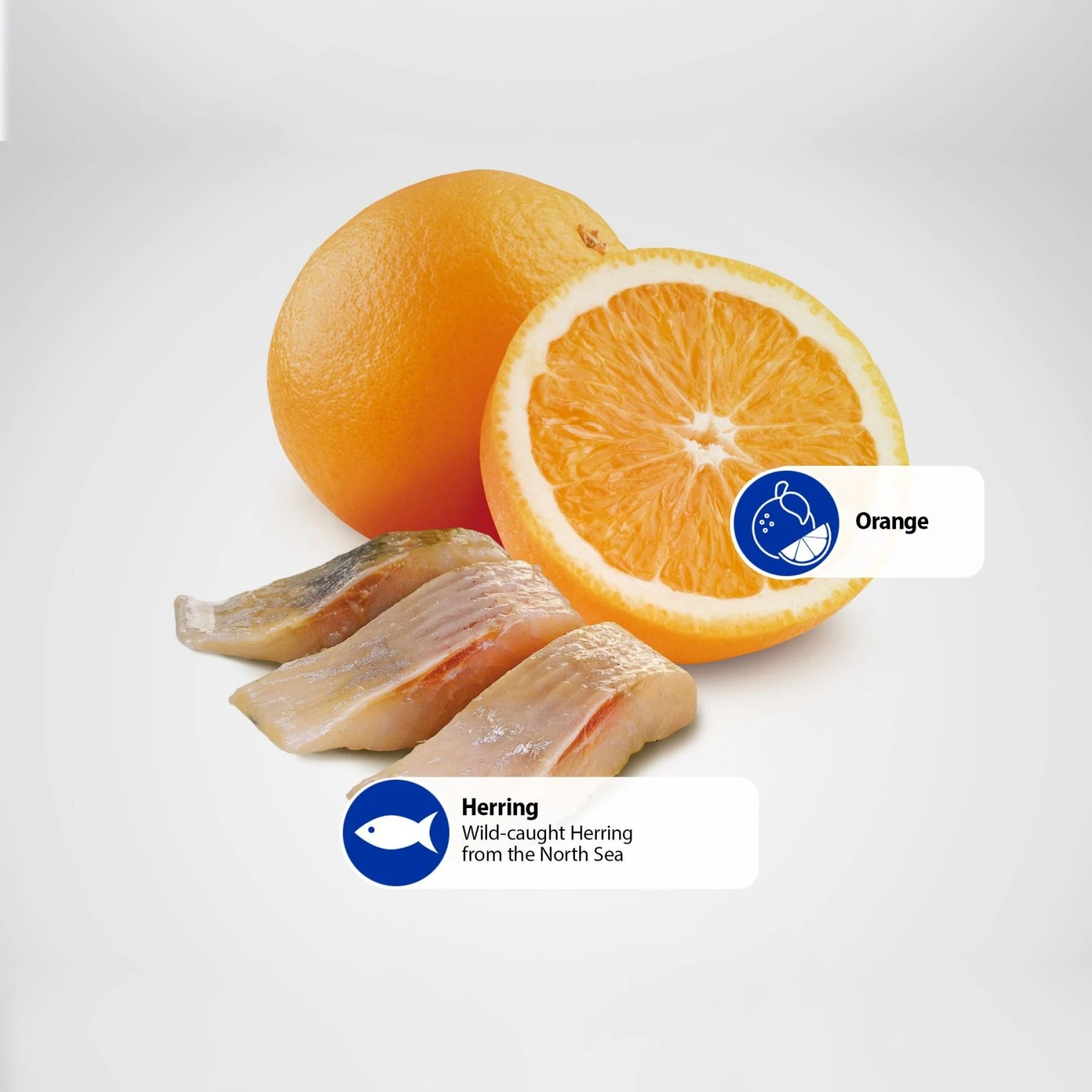 Farmina Natural & Delicious Wild Herring Grain-Free Mini Breed Formula Dry Dog Food 7 Farmina Natural & Delicious Wild Herring Grain-Free Mini Breed Formula Dry Dog Food - Image 5