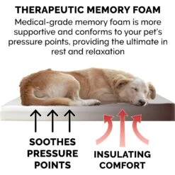 FurHaven Faux Sheepskin & Suede Memory Foam Cat & Dog Bed With Removable Cover 17 FurHaven Faux Sheepskin & Suede Memory Foam Cat & Dog Bed With Removable Cover -Blue Buffalo || ROYAL CANIN || Wellness Sales 176210 PT6. AC SS1800 V1606379832