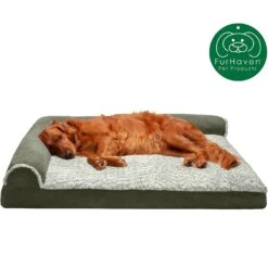 FurHaven Two-Tone Deluxe Chaise Memory Top Cat & Dog Bed With Removable Cover -Blue Buffalo || ROYAL CANIN || Wellness Sales 176268 PT3. AC SS1800 V1606796832