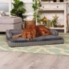FurHaven Comfy Couch Memory Top Cat & Dog Bed With Removable Cover -Blue Buffalo || ROYAL CANIN || Wellness Sales 178816 MAIN. AC SS1800 V1701882201
