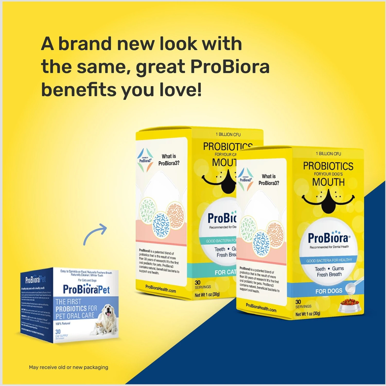 ProBiora Pet Probiotic Dog Oral Care Powder 8 ProBiora Pet Probiotic Dog Oral Care Powder - Image 6