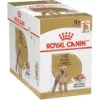 Royal Canin Breed Health Nutrition Poodle Loaf In Gravy Pouch Wet Dog Food 2 Royal Canin Breed Health Nutrition Poodle Loaf In Gravy Pouch Wet Dog Food -Blue Buffalo || ROYAL CANIN || Wellness Sales 181584 MAIN. AC SS1800 V1696613398