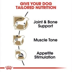 Royal Canin Breed Health Nutrition Dachshund Adult Loaf In Gravy Pouch Dog Food -Blue Buffalo || ROYAL CANIN || Wellness Sales 181588 PT3. AC SS1800 V1697213742