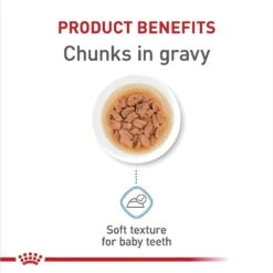 Royal Canin Size Health Nutrition Small Puppy Chunks In Gravy Dog Food Pouch 12 Royal Canin Size Health Nutrition Small Puppy Chunks In Gravy Dog Food Pouch -Blue Buffalo || ROYAL CANIN || Wellness Sales 181592 PT3. AC SS1800 V1697212763