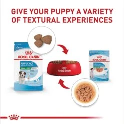 Royal Canin Size Health Nutrition Small Puppy Chunks In Gravy Dog Food Pouch 14 Royal Canin Size Health Nutrition Small Puppy Chunks In Gravy Dog Food Pouch -Blue Buffalo || ROYAL CANIN || Wellness Sales 181592 PT5. AC SS1800 V1697213407