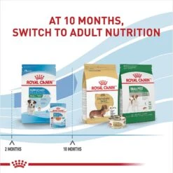 Royal Canin Size Health Nutrition Small Puppy Chunks In Gravy Dog Food Pouch 15 Royal Canin Size Health Nutrition Small Puppy Chunks In Gravy Dog Food Pouch -Blue Buffalo || ROYAL CANIN || Wellness Sales 181592 PT6. AC SS1800 V1697213152