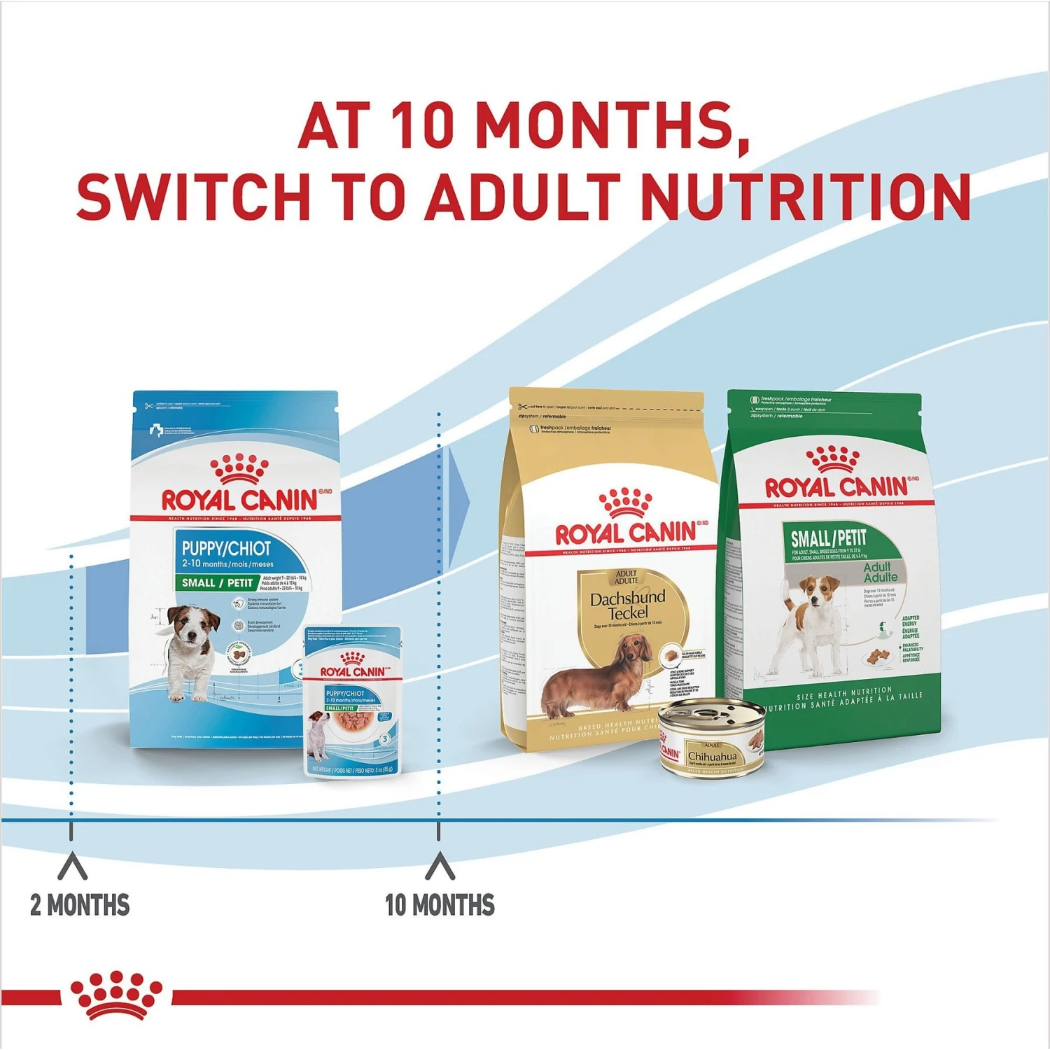 Royal Canin Size Health Nutrition Small Puppy Chunks In Gravy Dog Food Pouch 8 Royal Canin Size Health Nutrition Small Puppy Chunks In Gravy Dog Food Pouch - Image 6