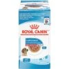 Royal Canin Size Health Nutrition Medium Puppy Chunks In Gravy Dog Food Pouch, 4.9-oz, Case Of 10 -Blue Buffalo || ROYAL CANIN || Wellness Sales 181594 MAIN. AC SS1800 V1697139145