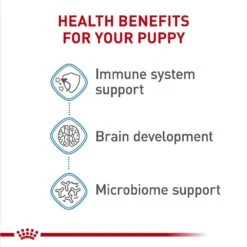 Royal Canin Size Health Nutrition Medium Puppy Chunks In Gravy Dog Food Pouch, 4.9-oz, Case Of 10 -Blue Buffalo || ROYAL CANIN || Wellness Sales 181594 PT5. AC SS1800 V1697213746