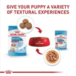 Royal Canin Size Health Nutrition Medium Puppy Chunks In Gravy Dog Food Pouch, 4.9-oz, Case Of 10 -Blue Buffalo || ROYAL CANIN || Wellness Sales 181594 PT6. AC SS1800 V1697216146