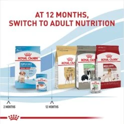 Royal Canin Size Health Nutrition Medium Puppy Chunks In Gravy Dog Food Pouch, 4.9-oz, Case Of 10 -Blue Buffalo || ROYAL CANIN || Wellness Sales 181594 PT7. AC SS1800 V1697213153