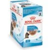 Royal Canin Size Health Nutrition Large Puppy Chunks In Gravy Dog Food Pouch, 4.9-oz, Case Of 10 -Blue Buffalo || ROYAL CANIN || Wellness Sales 181596 MAIN. AC SS1800 V1697139200