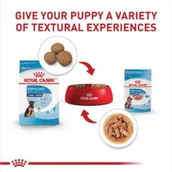 Royal Canin Size Health Nutrition Large Puppy Chunks In Gravy Dog Food Pouch, 4.9-oz, Case Of 10 -Blue Buffalo || ROYAL CANIN || Wellness Sales 181596 PT5. AC SS1800 V1697213773