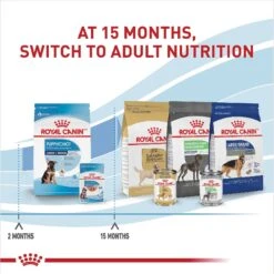 Royal Canin Size Health Nutrition Large Puppy Chunks In Gravy Dog Food Pouch, 4.9-oz, Case Of 10 -Blue Buffalo || ROYAL CANIN || Wellness Sales 181596 PT6. AC SS1800 V1697213712