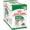 Royal Canin Size Health Nutrition Small Adult Chunks In Gravy Dog Food Pouch -Blue Buffalo || ROYAL CANIN || Wellness Sales 181598 MAIN. AC SS1800 V1696521275