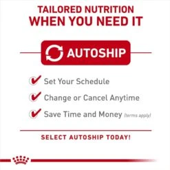 Royal Canin Size Health Nutrition Small Adult Chunks In Gravy Dog Food Pouch -Blue Buffalo || ROYAL CANIN || Wellness Sales 181598 PT4. AC SS1800 V1696533202