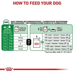 Royal Canin Size Health Nutrition Small Aging 12+ Chunks In Gravy Dog Food Pouch -Blue Buffalo || ROYAL CANIN || Wellness Sales 181604 PT5. AC SS1800 V1696451668