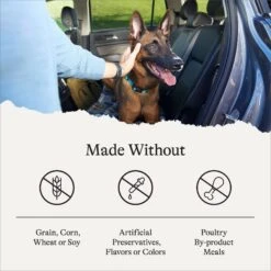 American Journey Senior Salmon & Sweet Potato Recipe Grain-Free Dry Dog Food, 24-lb Bag 17 American Journey Senior Salmon & Sweet Potato Recipe Grain-Free Dry Dog Food, 24-lb Bag -Blue Buffalo || ROYAL CANIN || Wellness Sales 183116 PT6. AC SS1800 V1680545180