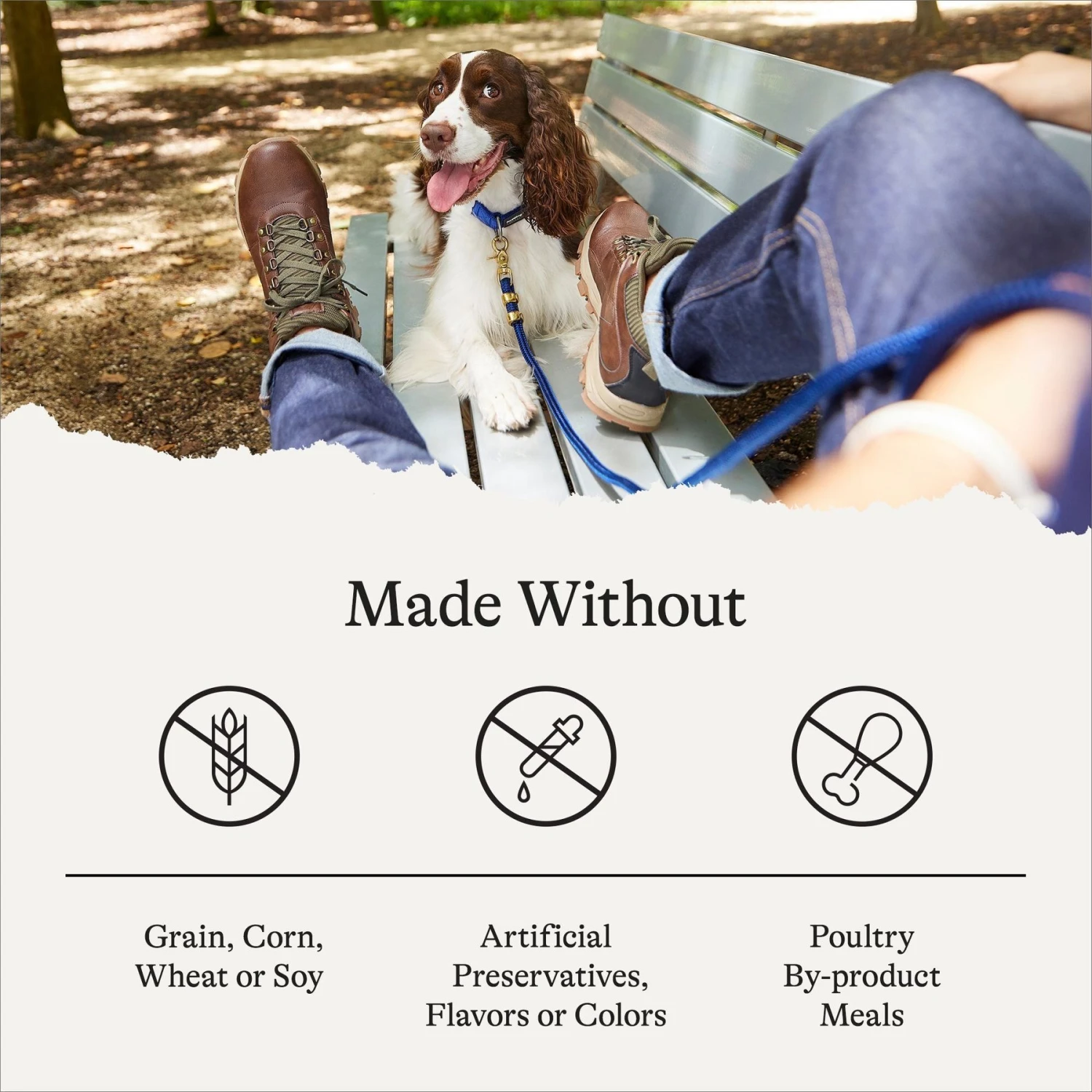 American Journey Healthy Weight Salmon & Sweet Potato Recipe Grain-Free Dry Dog Food, 24-lb Bag 9 American Journey Healthy Weight Salmon & Sweet Potato Recipe Grain-Free Dry Dog Food, 24-lb Bag - Image 7