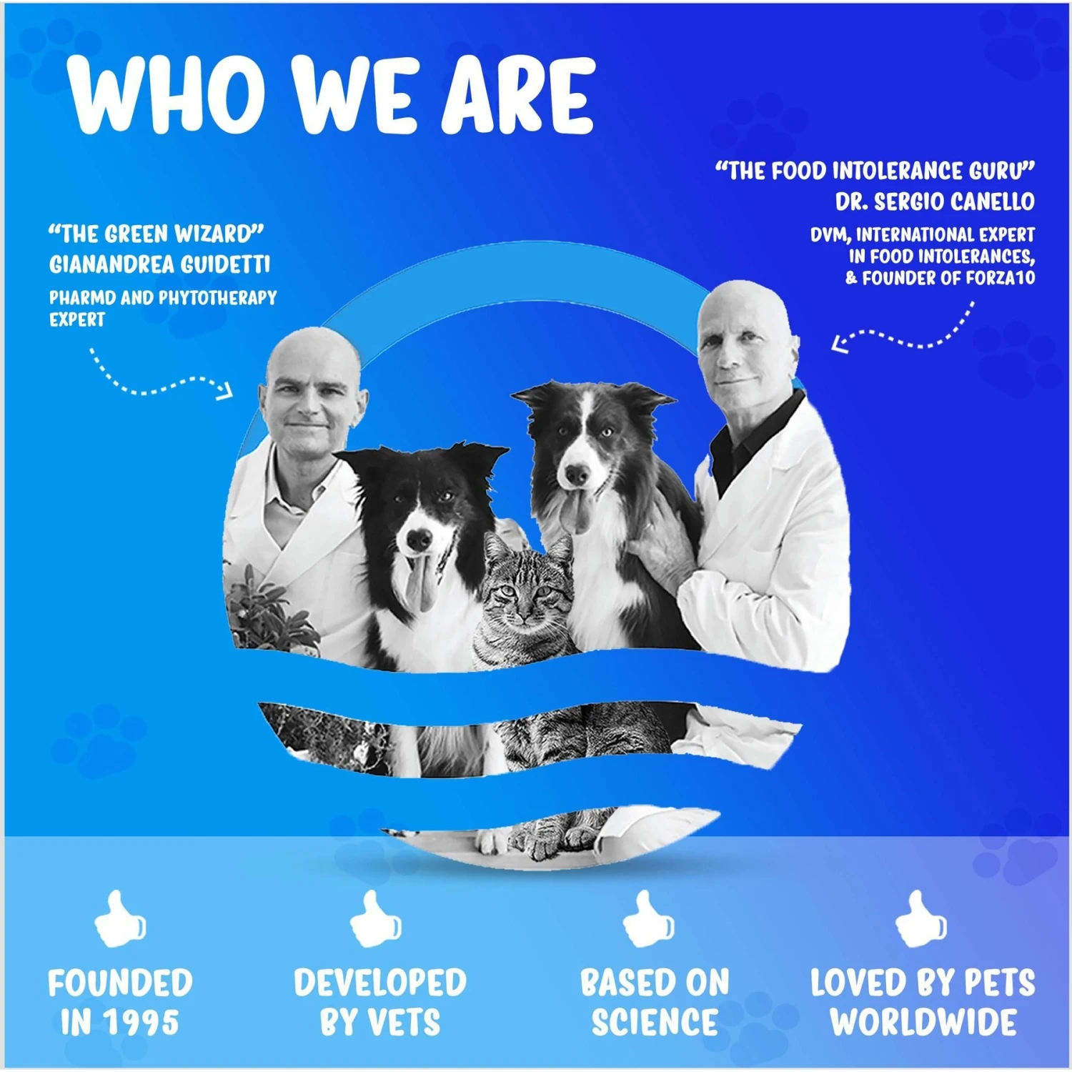 Forza10 Nutraceutic Active Depura Fish Diet Dry Dog Food 6 Forza10 Nutraceutic Active Depura Fish Diet Dry Dog Food - Image 4