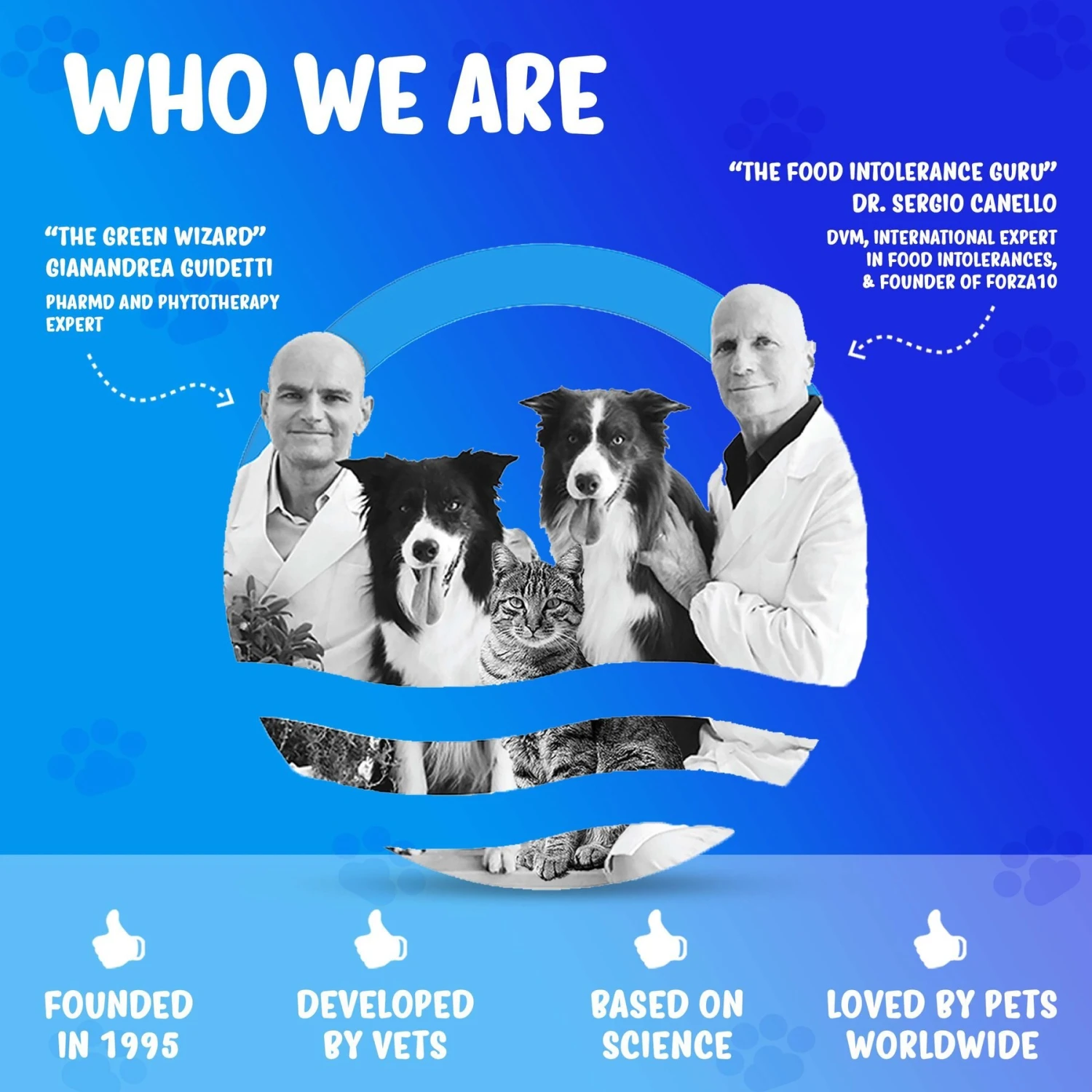 Forza10 Nutraceutic Active Line Immuno Support Diet Dry Dog Food 6 Forza10 Nutraceutic Active Line Immuno Support Diet Dry Dog Food - Image 4