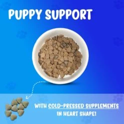 Forza10 Nutraceutic Active Puppy Chondro Diet Dry Dog Food 10 Forza10 Nutraceutic Active Puppy Chondro Diet Dry Dog Food -Blue Buffalo || ROYAL CANIN || Wellness Sales 183160 PT1. AC SS1800 V1696882797