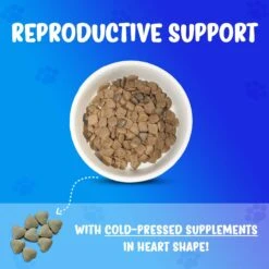 Forza10 Nutraceutic Active Reproductive Male Diet Dry Dog Food 10 Forza10 Nutraceutic Active Reproductive Male Diet Dry Dog Food -Blue Buffalo || ROYAL CANIN || Wellness Sales 183164 PT1. AC SS1800 V1696882795