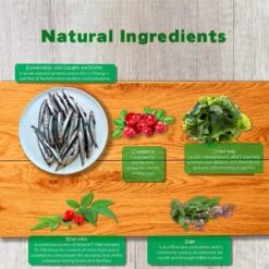 Forza10 Nutraceutic Legend Skin Grain-Free Wild Caught Anchovy Dry Dog Food 13 Forza10 Nutraceutic Legend Skin Grain-Free Wild Caught Anchovy Dry Dog Food -Blue Buffalo || ROYAL CANIN || Wellness Sales 183216 PT5. AC SS1800 V1563547037