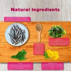 Forza10 Nutraceutic Legend Digestion Grain-Free Wild Caught Anchovy Dry Dog Food -Blue Buffalo || ROYAL CANIN || Wellness Sales 183221 PT5. AC SS1800 V1563547039