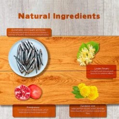 Forza10 Nutraceutic Legend All Life Medium & Large Breed Grain-Free Wild Caught Anchovy Dry Dog Food -Blue Buffalo || ROYAL CANIN || Wellness Sales 183226 PT5. AC SS1800 V1566504459