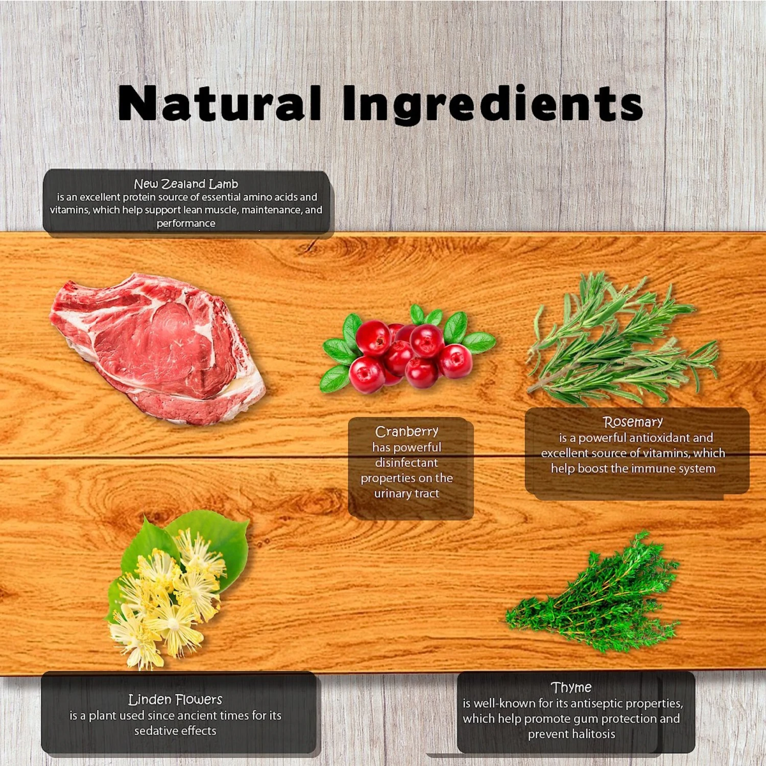 Forza10 Legend New Zealand Lamb With Venison Grain-Free Dry Dog Food 8 Forza10 Legend New Zealand Lamb With Venison Grain-Free Dry Dog Food - Image 6