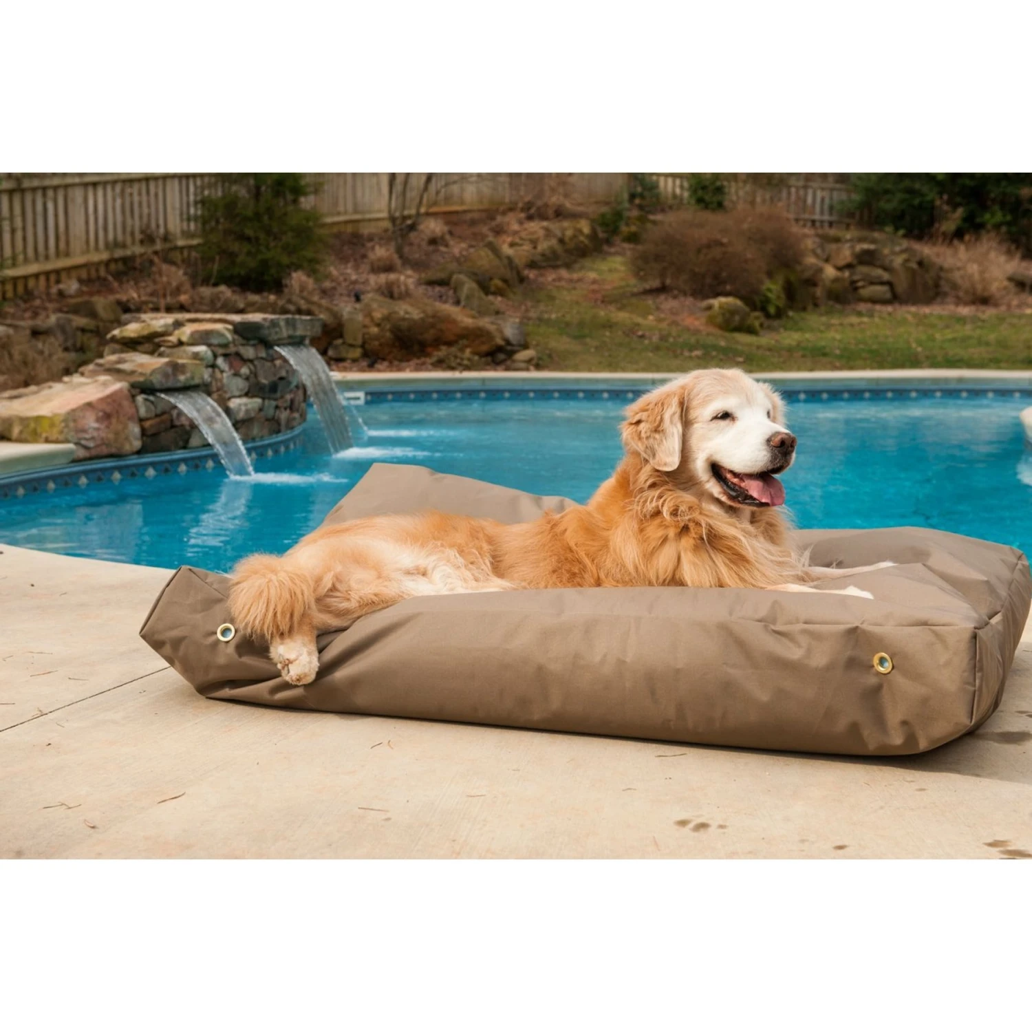 Snoozer Pet Products Rectangular Pillow Dog Bed With Removable Cover 3 Snoozer Pet Products Rectangular Pillow Dog Bed With Removable Cover