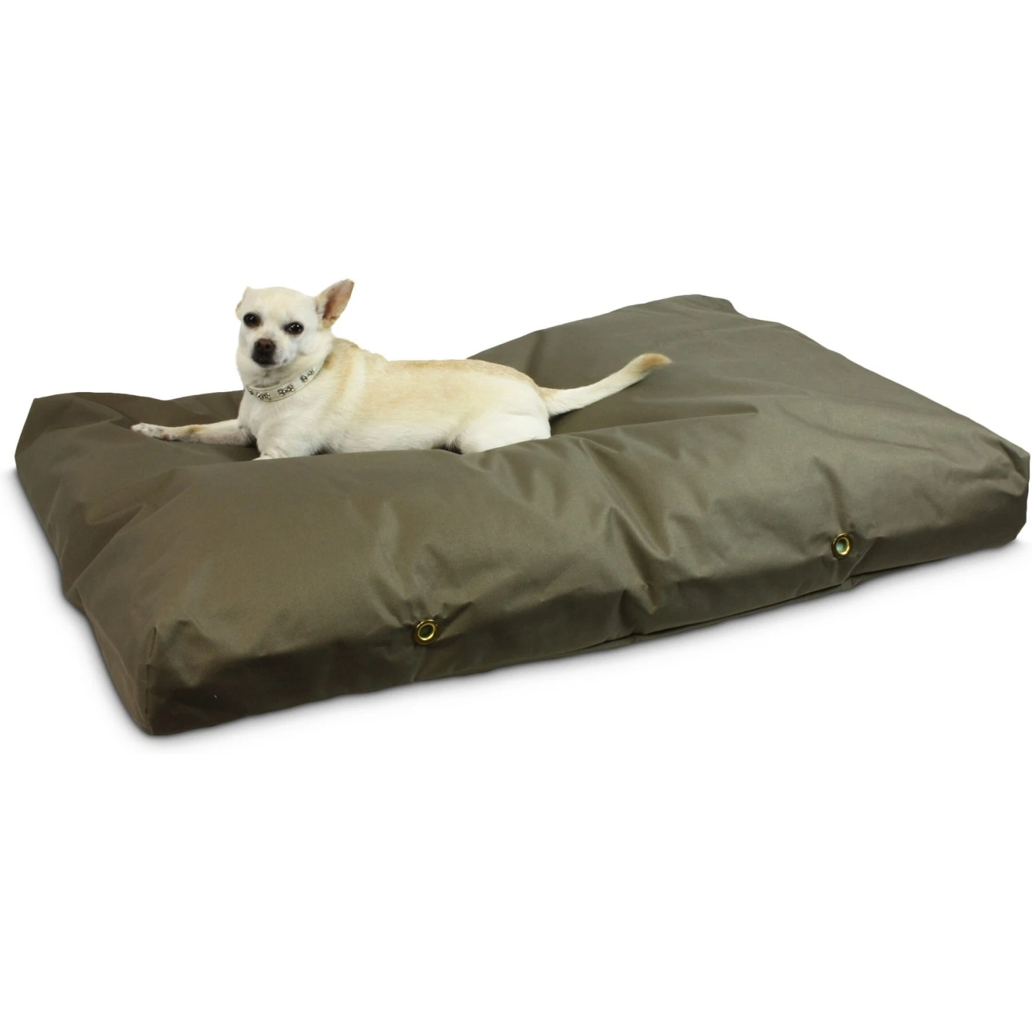 Snoozer Pet Products Rectangular Pillow Dog Bed With Removable Cover 4 Snoozer Pet Products Rectangular Pillow Dog Bed With Removable Cover - Image 2