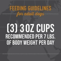 Tiki Dog Taste Of Spain Chicken & Shrimp Paella Recipe In Broth Gluten-Free Wet Dog Food, 3-oz Cup, Case Of 4 -Blue Buffalo || ROYAL CANIN || Wellness Sales 186337 PT7. AC SS1800 V1631199409
