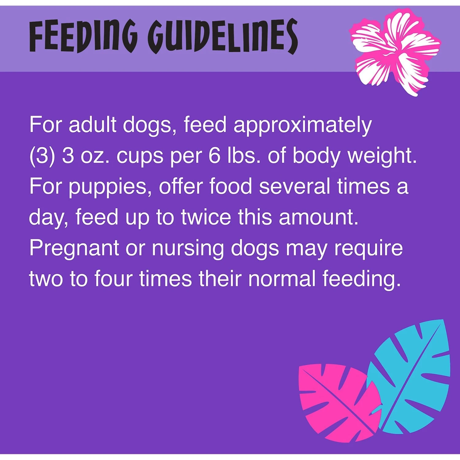 Tiki Dog Meaty High Protein Diet Chicken With Egg Recipe In Broth Grain-Free Wet Dog Food, 3-oz Cup, Case Of 4 9 Tiki Dog Meaty High Protein Diet Chicken With Egg Recipe In Broth Grain-Free Wet Dog Food, 3-oz Cup, Case Of 4 - Image 7