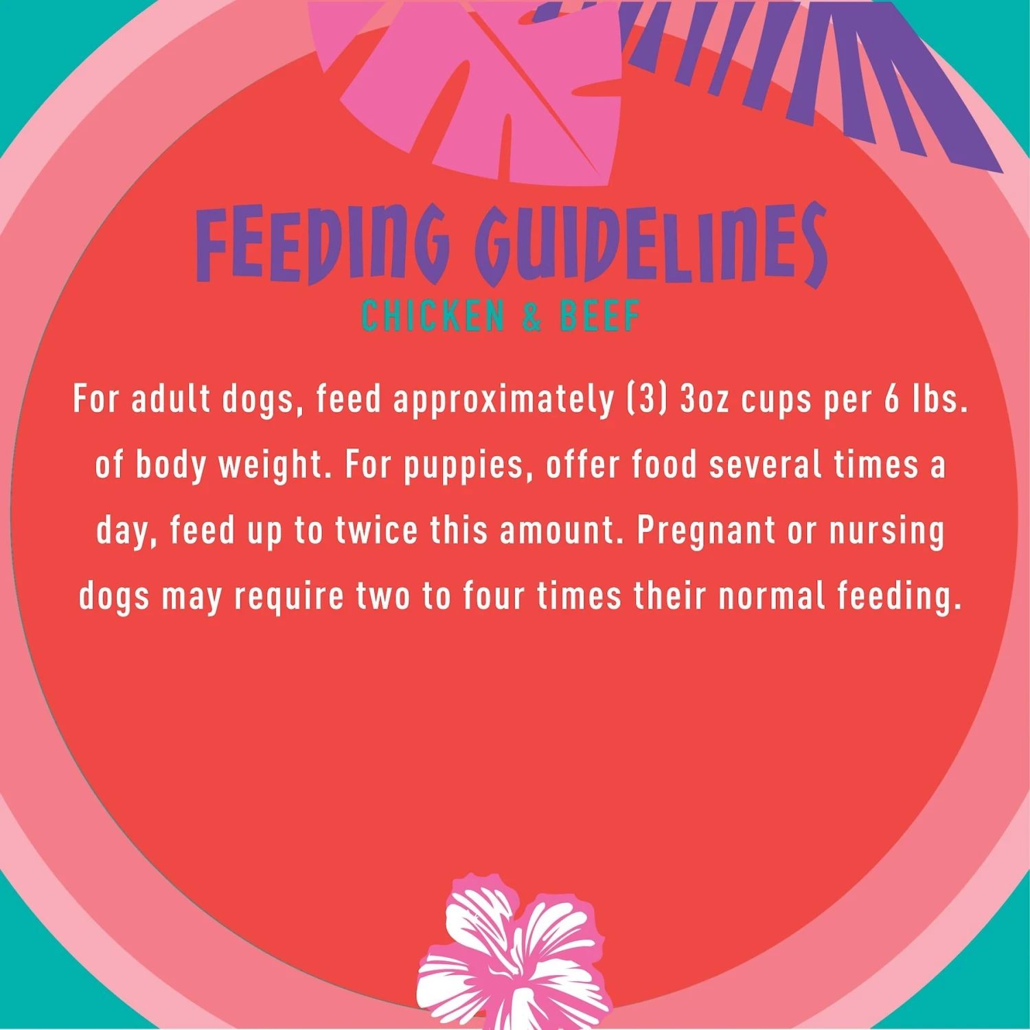 Tiki Dog Meaty High Protein Diet Chicken With Beef Recipe In Broth Grain-Free Wet Dog Food, 3-oz Cup, Case Of 4 8 Tiki Dog Meaty High Protein Diet Chicken With Beef Recipe In Broth Grain-Free Wet Dog Food, 3-oz Cup, Case Of 4 - Image 6