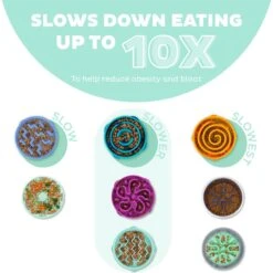 Outward Hound Non-Skid Plastic Slow Feeder Dog Bowl 12 Outward Hound Non-Skid Plastic Slow Feeder Dog Bowl -Blue Buffalo || ROYAL CANIN || Wellness Sales 190603 PT1. AC SS1800 V1694286656