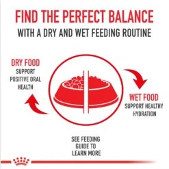 Royal Canin Canine Care Nutrition Sensitive Skin Care Loaf In Sauce Canned Dog Food, 13.5-oz, Case Of 12 -Blue Buffalo || ROYAL CANIN || Wellness Sales 191979 PT5. AC SS1800 V1696538542