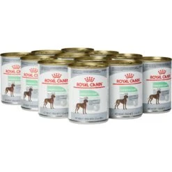 Royal Canin Canine Care Nutrition Digestive Care Loaf In Sauce Canned Dog Food, 13.5-oz, Case Of 12 -Blue Buffalo || ROYAL CANIN || Wellness Sales 191981 PT3. AC SS1800 V1696258107